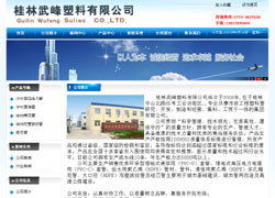 桂林網(wǎng)站建設成功案例 | 激光網(wǎng)絡 一站式互聯(lián)網(wǎng)服務解決方案