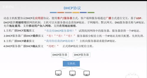 計算機網(wǎng)絡應用層核心概念 從CS/P2P模型到Web與域名服務